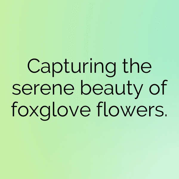 222+ Foxglove Captions For Instagram (Trending, Funny & Top) 8 Foxglove Captions Photo For Instagram-GvKnfs