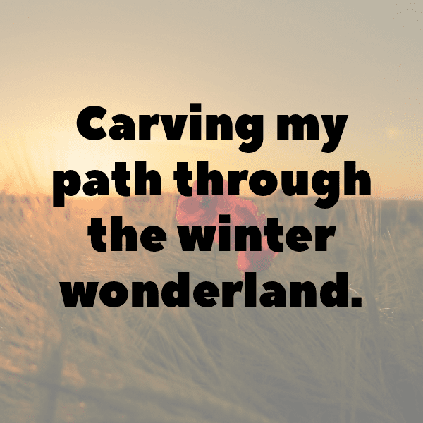 269+ Freestyle Skiing Captions for Instagram (Fresh & Trendy) 6 Freestyle Skiing Captions Image for Instagram-grow4k