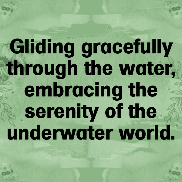 Frisee Captions Image For Instagram-DSxTRX