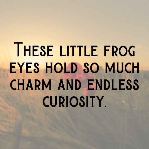 304+ Frog Captions For Instagram In 2025 11 Frog Captions Image For Instagram-k3bc3o