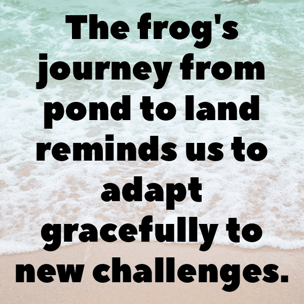 304+ Frog Captions For Instagram In 2025 8 Frog Captions Image For Instagram-yMAMa2