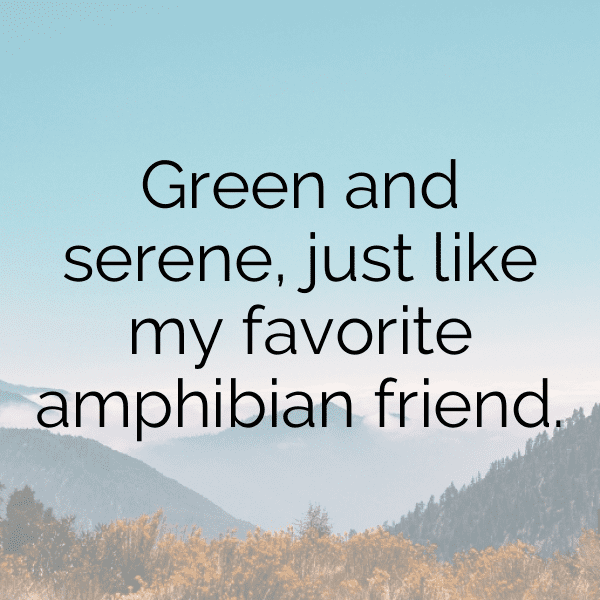 304+ Frog Captions For Instagram In 2025 15 Frog Captions Photo For Instagram-vRXK2F