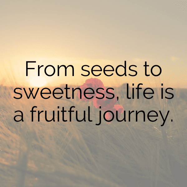 Gac Fruit Captions Photo For Instagram-K49Mcv