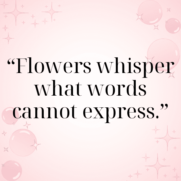 289+ Gaillardia Captions For Instagram (Short, Trending & Viral) 5 Gaillardia Captions Photo For Instagram-j4kQbi