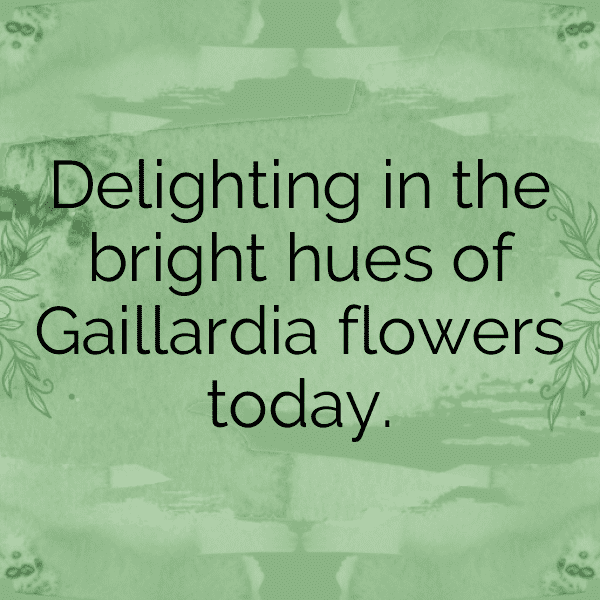 289+ Gaillardia Captions For Instagram (Short, Trending & Viral) 10 Gaillardia Captions Photo For Instagram-JnJtgl