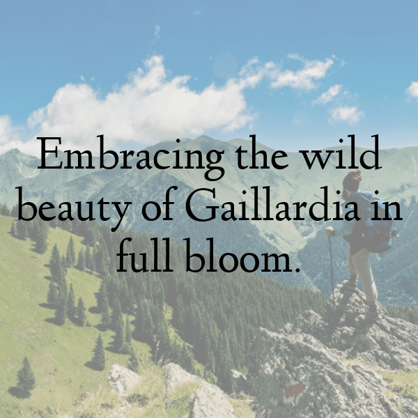 289+ Gaillardia Captions For Instagram (Short, Trending & Viral) 4 Gaillardia Captions Photo For Instagram-NAAg4H