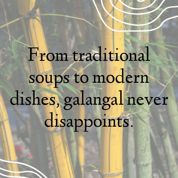 Galangal Captions Image For Instagram-UYQzpt