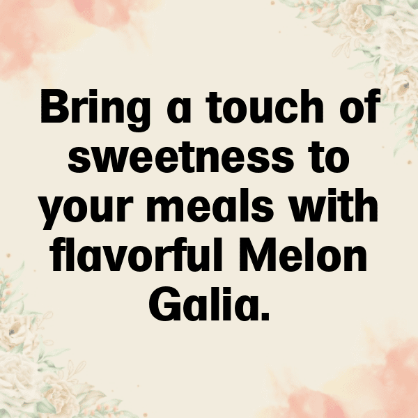 Galia Melon Captions Image For Instagram-nEt33E
