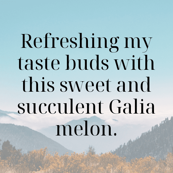 Galia Melon Captions Photo For Instagram-DPHdvL