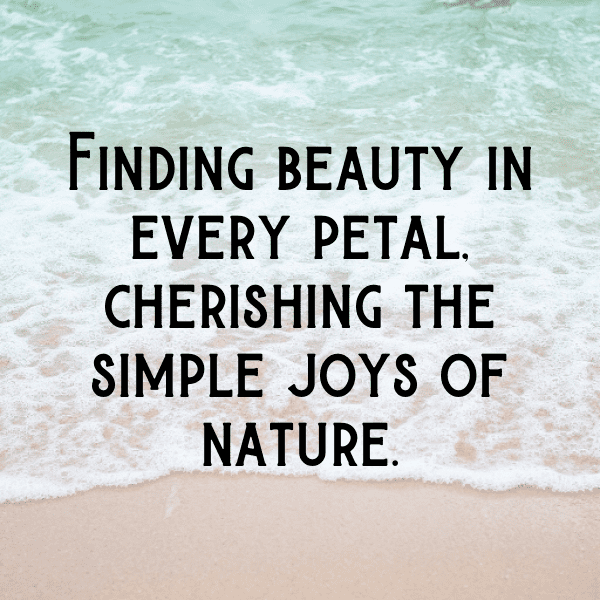 205+ Gardenia Captions For Instagram (Best, Funny & Short) 3 Gardenia Captions Image For Instagram-6rIu0U