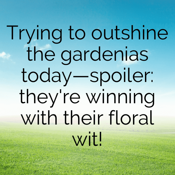 205+ Gardenia Captions For Instagram (Best, Funny & Short) 7 Gardenia Captions Image For Instagram-uEYJIm