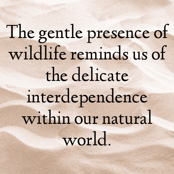 Gazelle Captions Image For Instagram-fToEO1