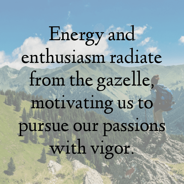 Gazelle Captions Photo For Instagram-lP8VKf