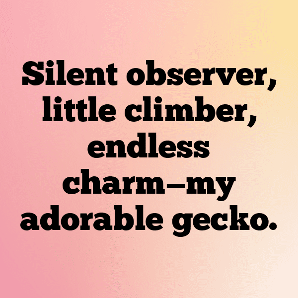 Gecko Captions Image For Instagram-UBRRjg