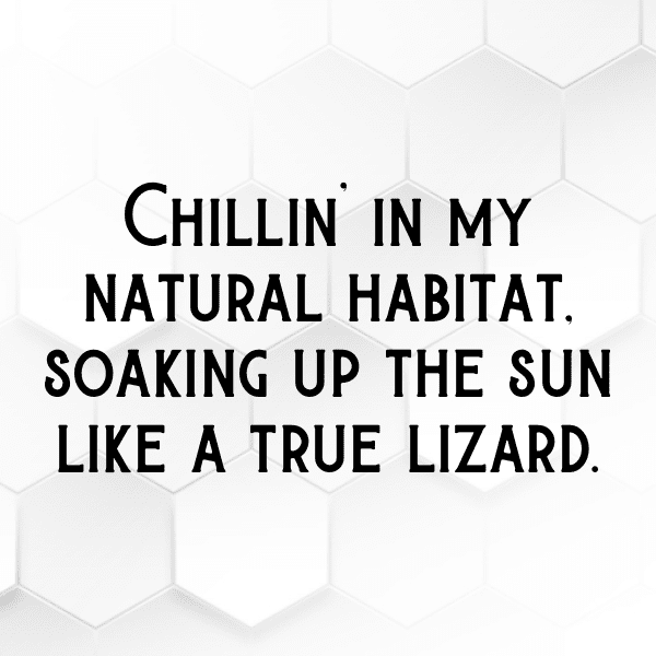 Gecko Captions Image For Instagram-YrVkSq