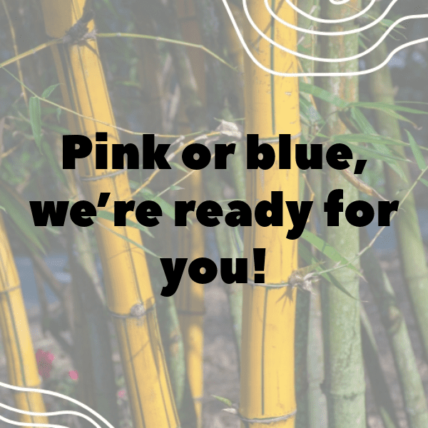 Gender Reveal Captions Image For Instagram-h7KCr5