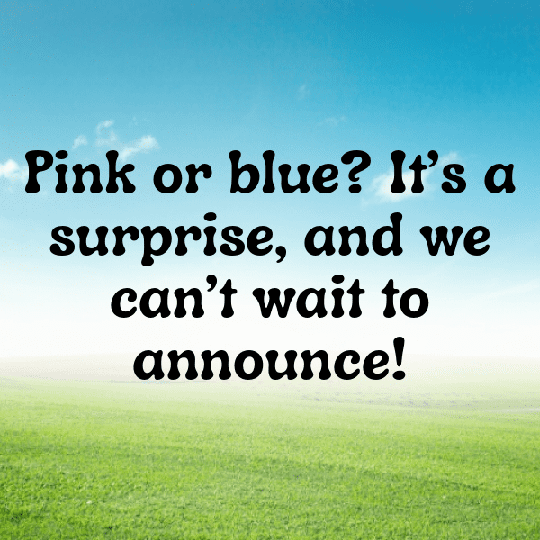 Gender Reveal Captions Image For Instagram-KWMkqr