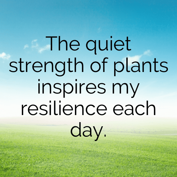 Geranium Captions Photo For Instagram-6PDLSS