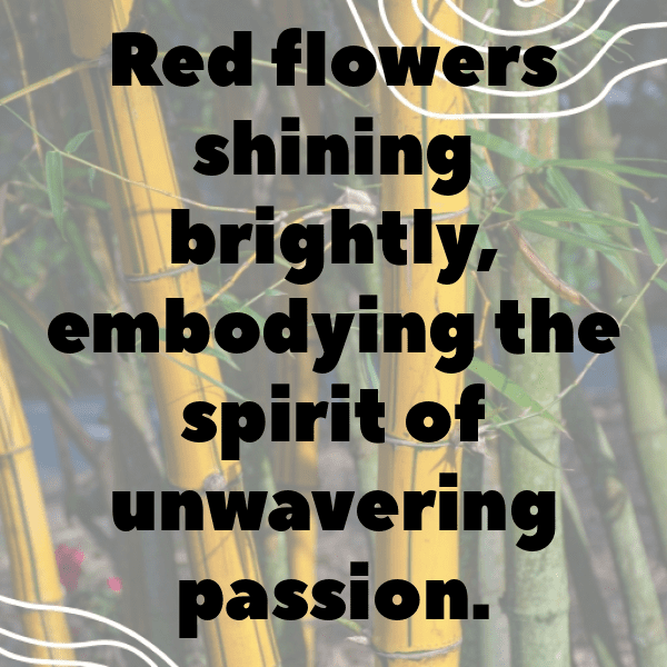 Geranium Captions Photo For Instagram-CATXdc