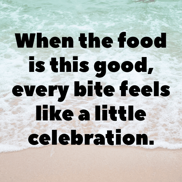 320+ Gerbera Captions For Instagram In 2025 13 Gerbera Captions Image For Instagram-enRUYu