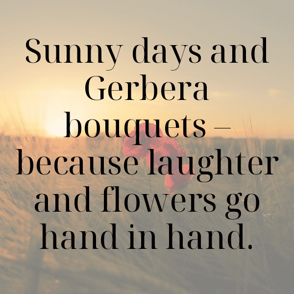 320+ Gerbera Captions For Instagram In 2025 7 Gerbera Captions Image For Instagram-MFfkrZ