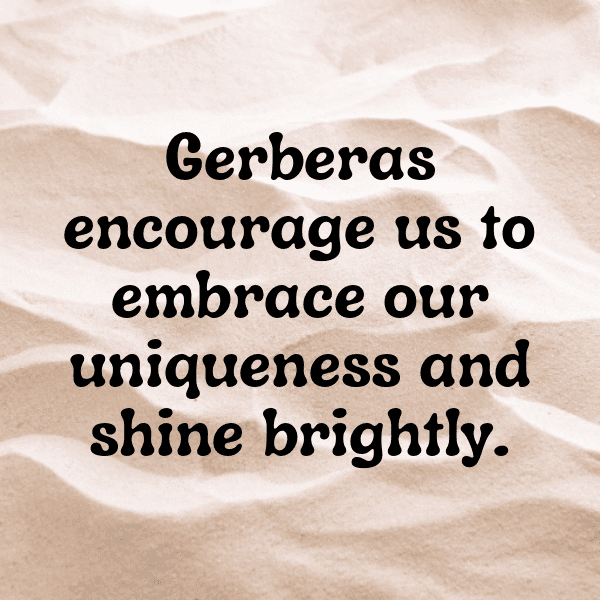 320+ Gerbera Captions For Instagram In 2025 18 Gerbera Captions Image For Instagram-XBuQSm