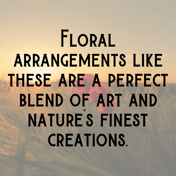 320+ Gerbera Captions For Instagram In 2025 12 Gerbera Captions Image For Instagram-Z9ayur