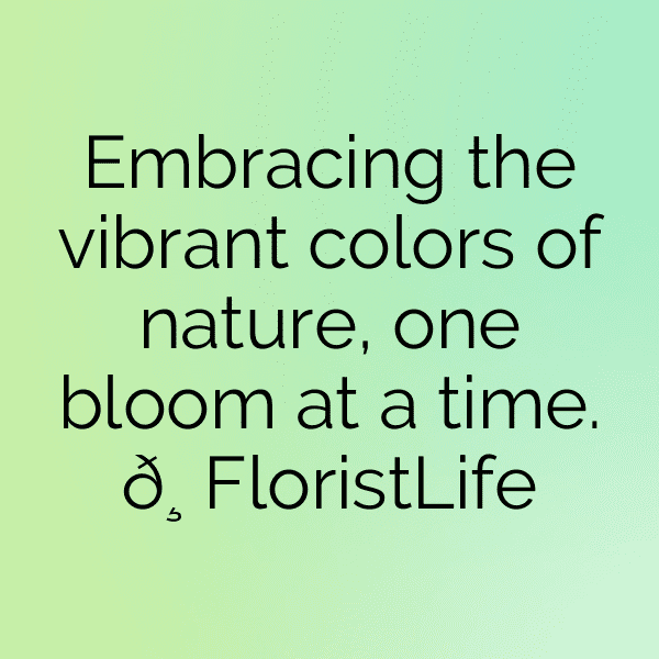 320+ Gerbera Captions For Instagram In 2025 5 Gerbera Captions Photo For Instagram-6gv9fk