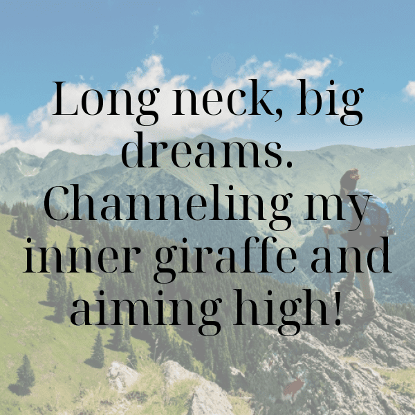 Giraffe Captions Photo For Instagram-dKj8ZU