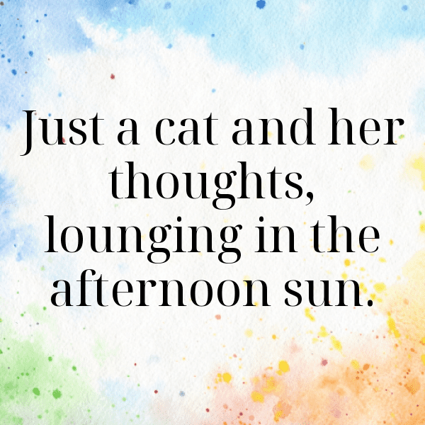 Giraffe Captions Photo For Instagram-qxptc7