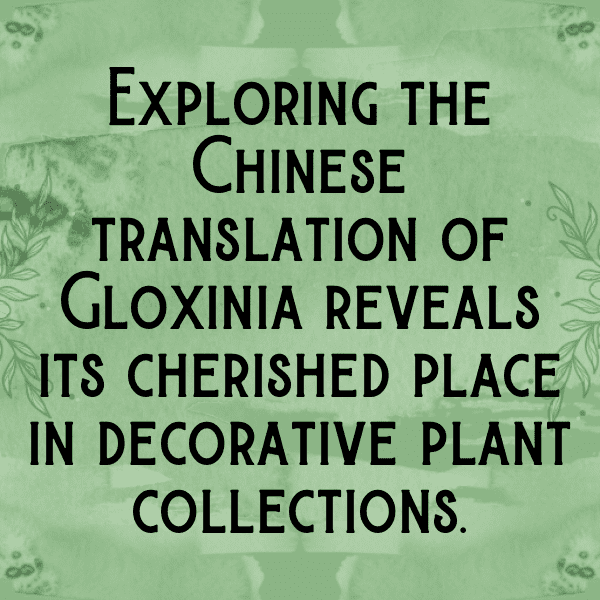 Gloxinia Captions Photo For Instagram-7xtFTB