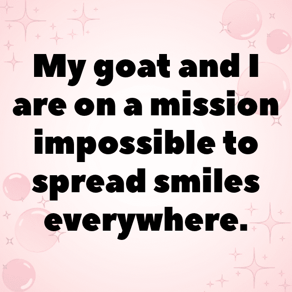 Goat Captions Photo For Instagram-R8SUAR