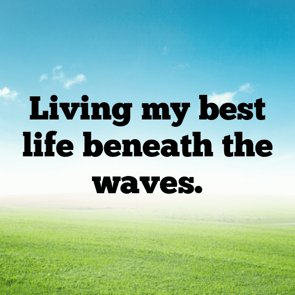 Goldfish Captions Photo For Instagram-0bCkVS