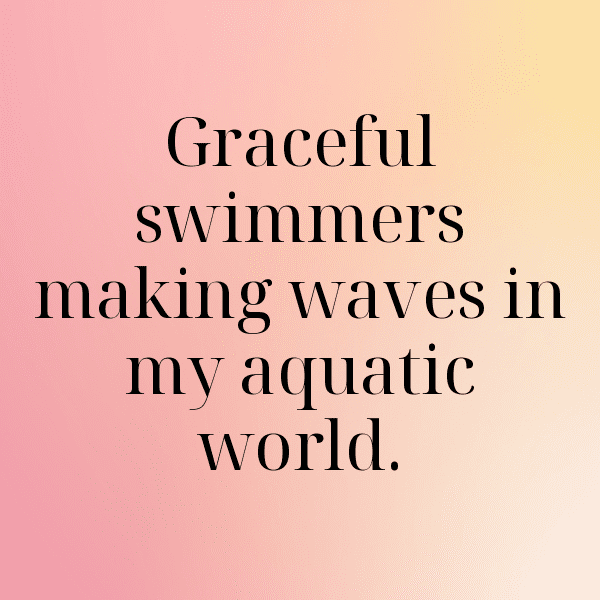 Goldfish Captions Photo For Instagram-KBMHrV