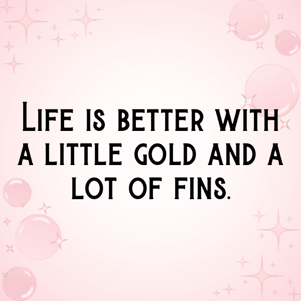 Goldfish Captions Photo For Instagram-mBJk7W