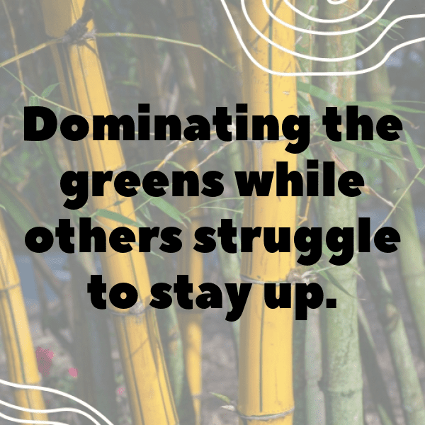 Golf Captions Image for Instagram-NfVKIy