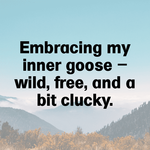 Goose Captions Image For Instagram-tGLmr3