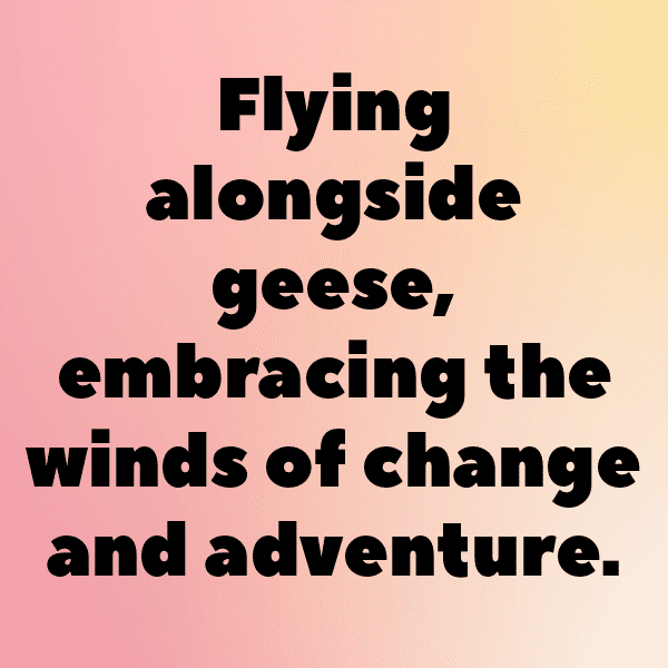 Goose Captions Image For Instagram-V90h0r