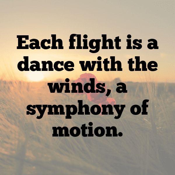 Goose Captions Image For Instagram-y020gG