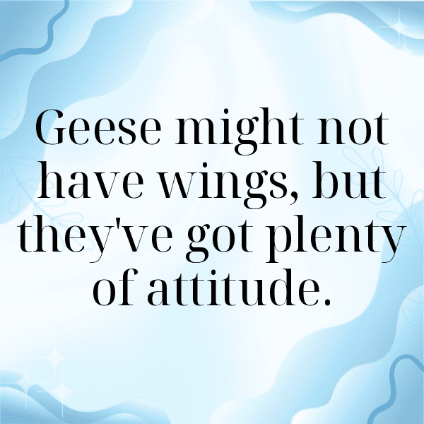 Goose Captions Photo For Instagram-uL5syf