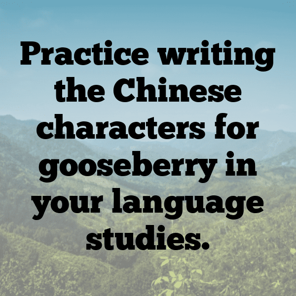 243+ Gooseberry Captions For Instagram (Best, Funny & Short) 9 Gooseberry Captions Image For Instagram-c1PU4f