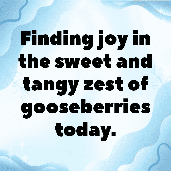 243+ Gooseberry Captions For Instagram (Best, Funny & Short) 8 Gooseberry Captions Photo For Instagram-iSeDcx