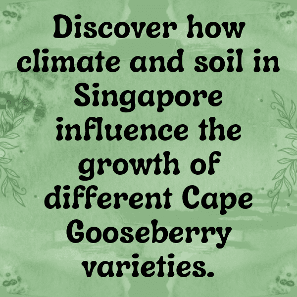 243+ Gooseberry Captions For Instagram (Best, Funny & Short) 6 Gooseberry Captions Photo For Instagram-L3cBE9