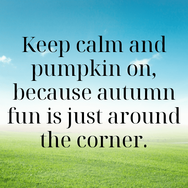 305+ Gourd Captions For Instagram (Trending, Funny & Top) 6 Gourd Captions Image For Instagram-K93df8