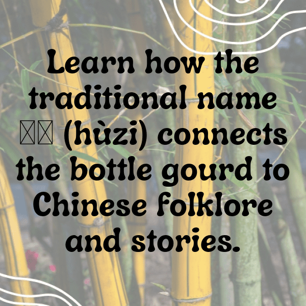 305+ Gourd Captions For Instagram (Trending, Funny & Top) 13 Gourd Captions Image For Instagram-PdoRDl