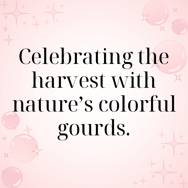 305+ Gourd Captions For Instagram (Trending, Funny & Top) 8 Gourd Captions Image For Instagram-TwrDje