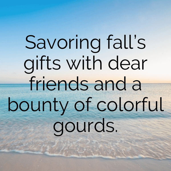 305+ Gourd Captions For Instagram (Trending, Funny & Top) 5 Gourd Captions Photo For Instagram-967rgx