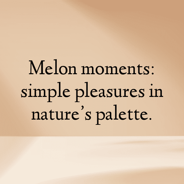 305+ Gourd Captions For Instagram (Trending, Funny & Top) 18 Gourd Captions Photo For Instagram-CywotP