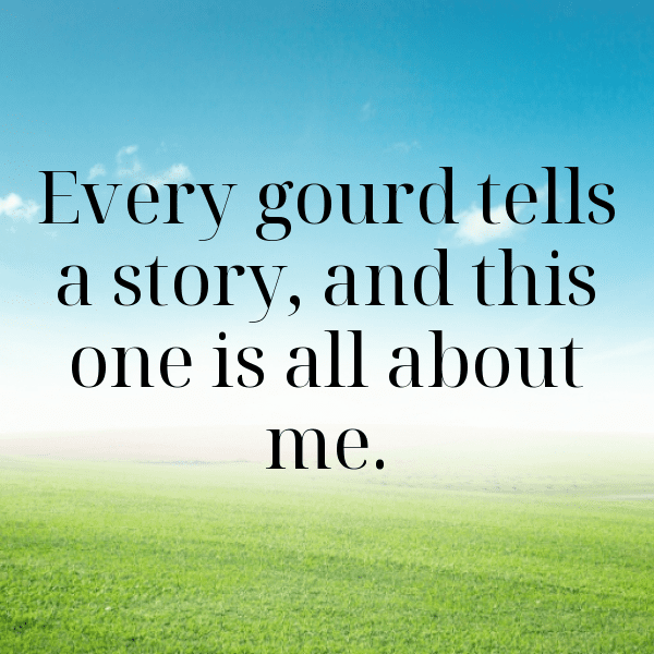 305+ Gourd Captions For Instagram (Trending, Funny & Top) 4 Gourd Captions Photo For Instagram-PWJQ9e