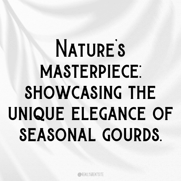 305+ Gourd Captions For Instagram (Trending, Funny & Top) 15 Gourd Captions Photo For Instagram-YSdzrM